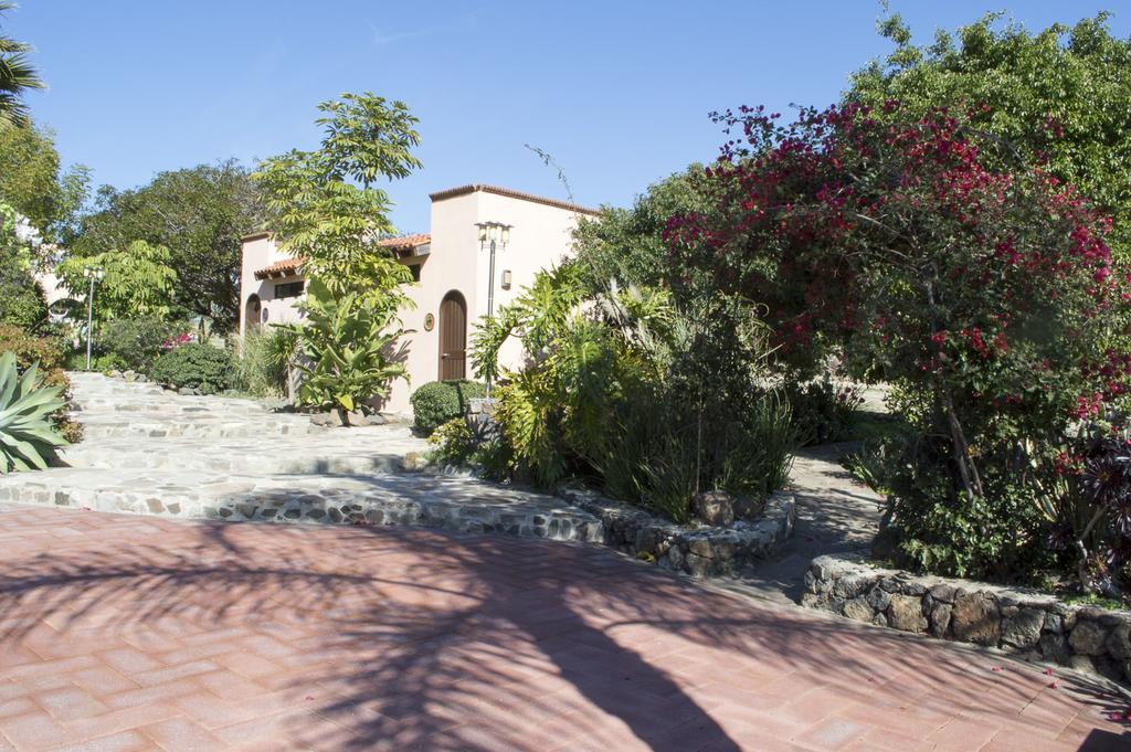 Quinta Santa Teresa Villa & Suites Ensenada Dış mekan fotoğraf